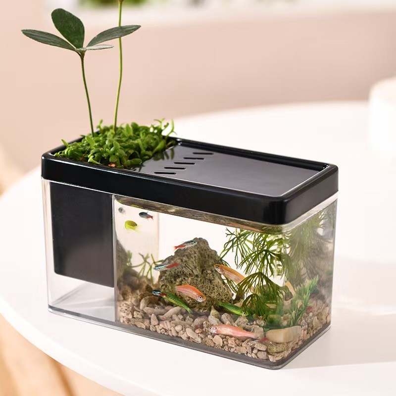 [Spot Sale]Transparent desktop mini fish tank   Double-layer ecological ornamental fish tank   Indoo