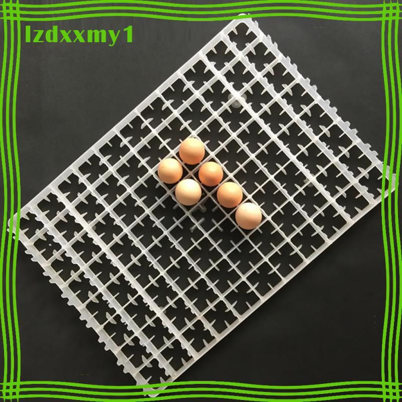 [Kiddy] 88 Egg Incubator Tray Chicken Duck Egg Tray Egg Hatcher Storage Container