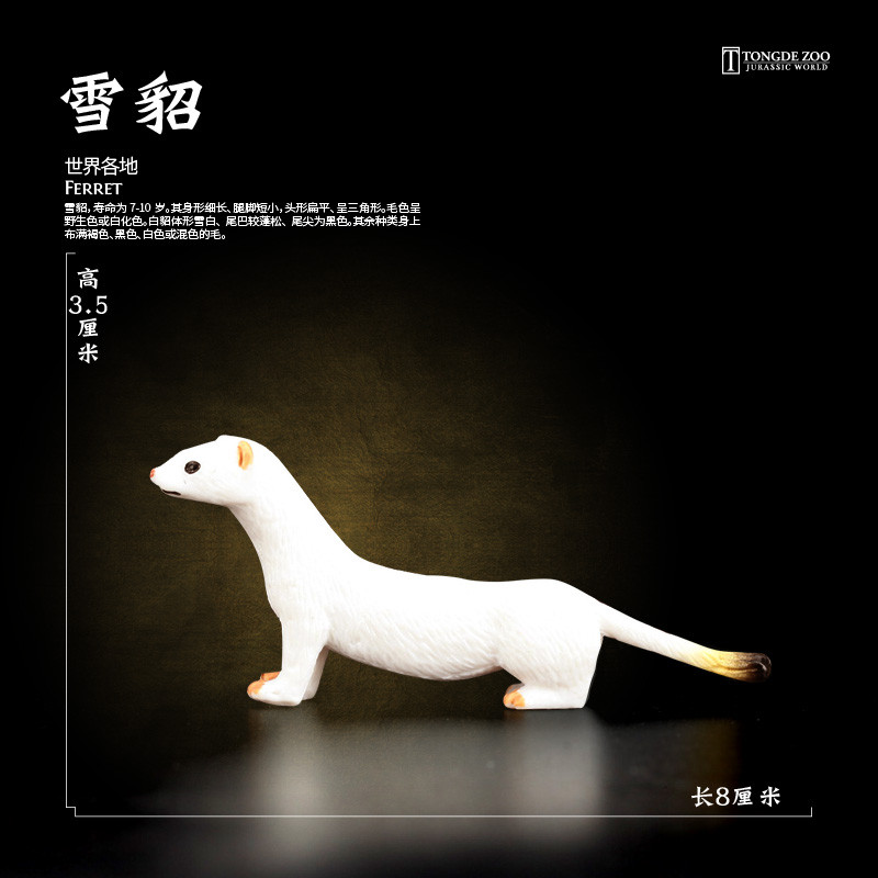 T Tongde Ferret รุ่นจําลองสัตว์ของเล่นพลาสติก Wild เมดิเตอร์เรเนียน Ferret Blindfolded Ferret เด็ก
