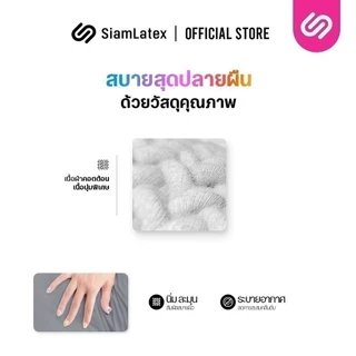SiamLatex ปลอกหมอนข้างสั้น รุ่น Lato case ปลอกหมอนข้างสั้นแบบตรงรุ่น สีพื้น มีให้เลือกหลายสี
