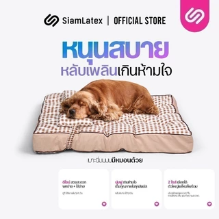 SiamLatex ที่นอนสุนัข เบาะหมา เบาะหมานอน รุ่น Woofy มีหมอน ใยโพลี นุ่ม นอนสบาย เบาะกว้าง นอนสบาย