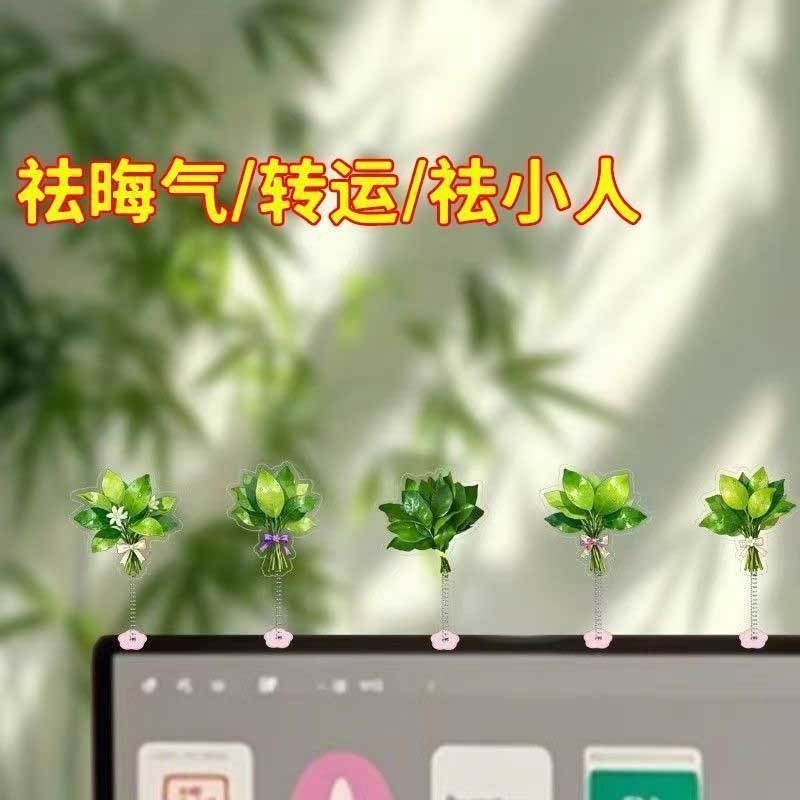去子叶เครื่องปรับอากาศ电视柜家用品自然植物整理石微运动自慰器装品Pomelo Leaf to Unlucky คอมพิวเตอร์เครื่องประดับ Spring Shake