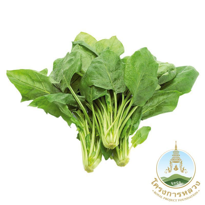 โครงการหลวงปวยเล้งออร์แกนิค 200กรัม Royal Project Organic Spinach Winter 200g.