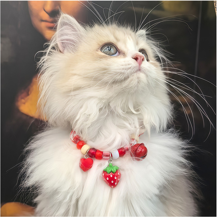 รูปภาพ 2