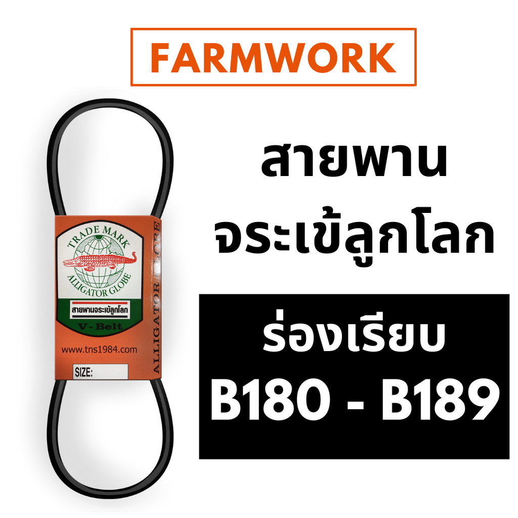 จระเข้ลูกโลก สายพาน B ร่องเรีย B180 B181 B182 B183 B184 B185 B186 B187 B188 B189 180 181 182 183 184
