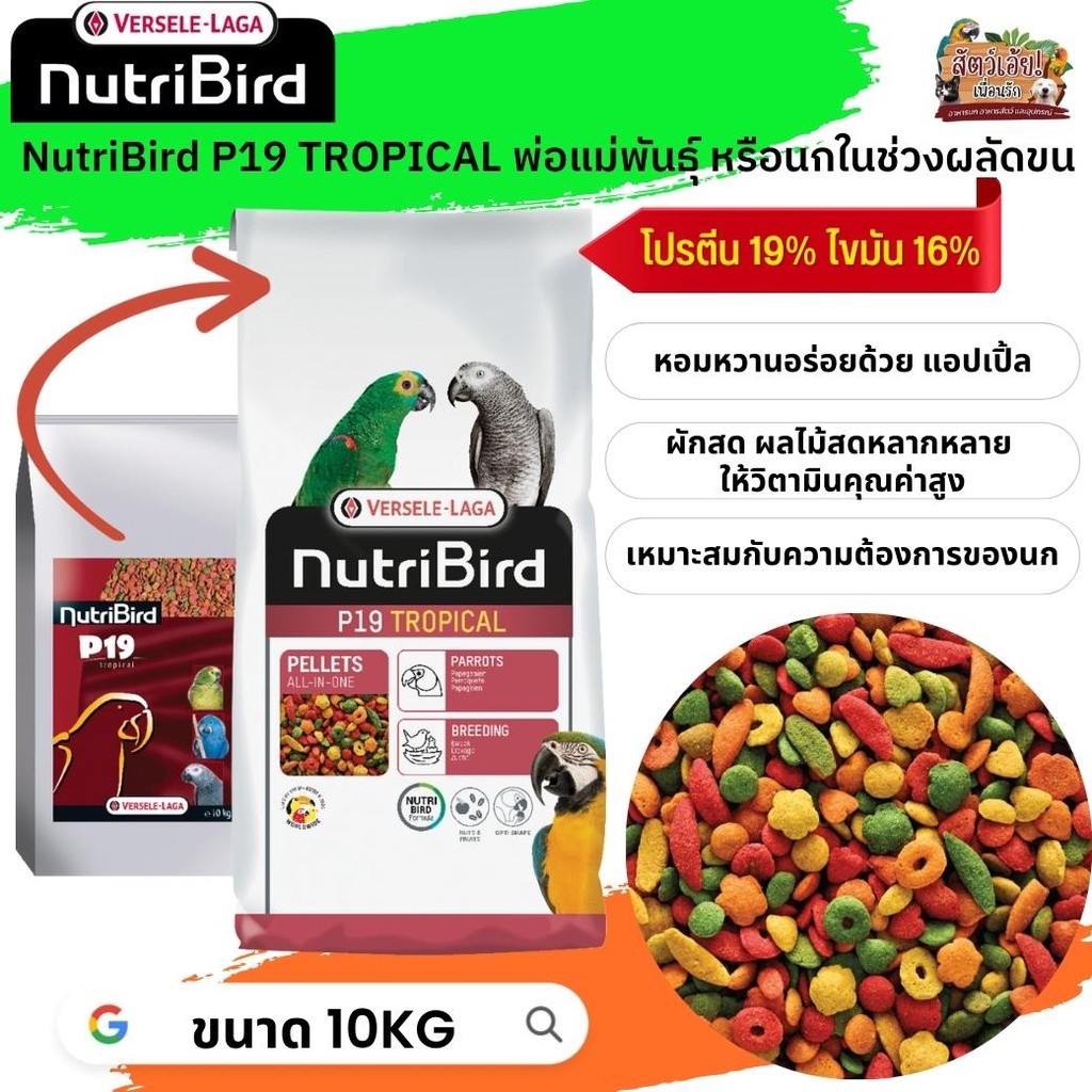อาหารนกนูทริเบิร์ด NutriBird P19 tropical กระสอบ 10kg พ่อแม่พันธุ์หรือผลัดขน