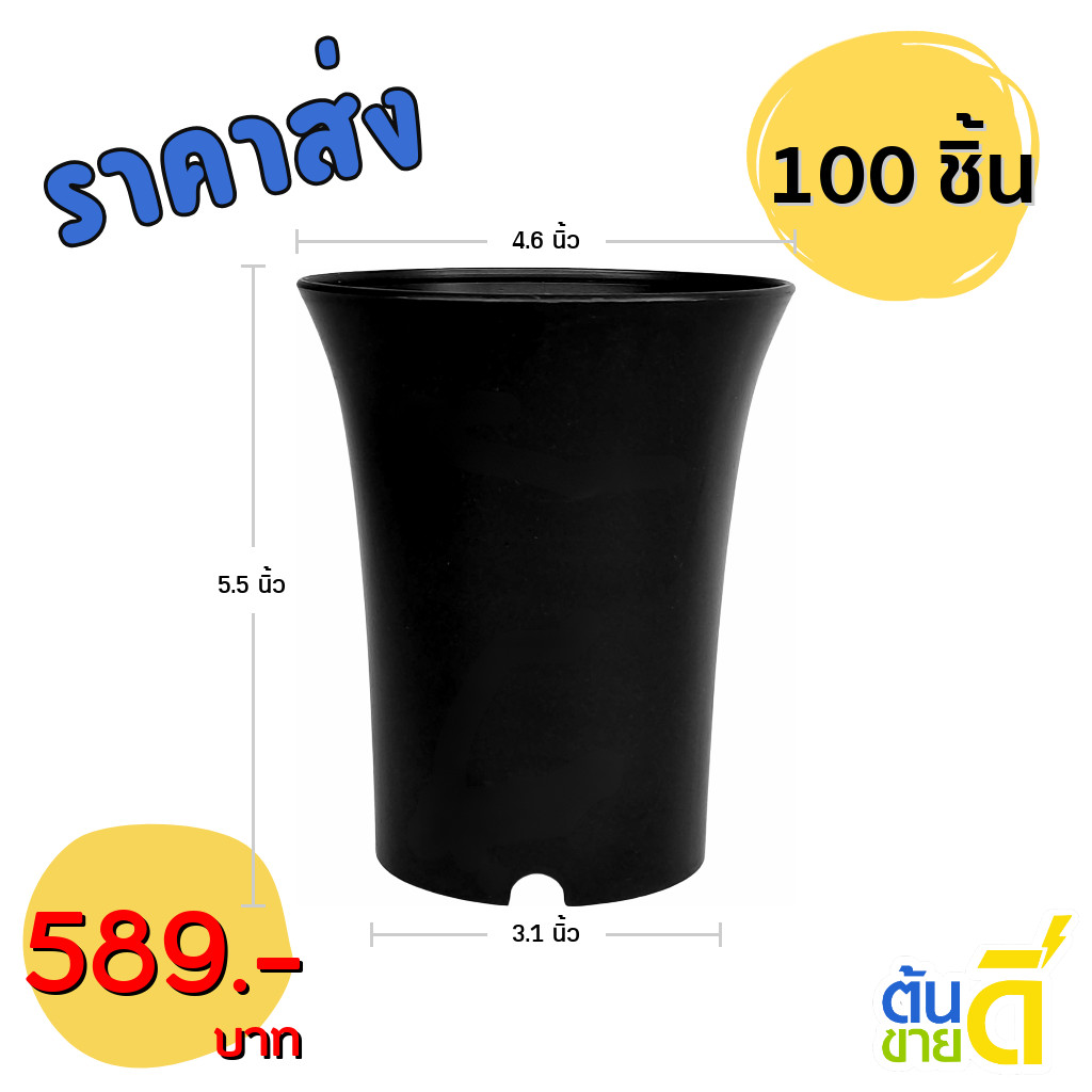 กระถาง กระถางแคคตัส กระถางปากแตร 4.5 นิ้ว สีดำ 100 ใบ ชิ้น อัน