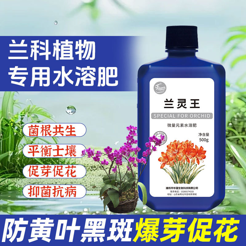 Lanlingwang Orchid Universal Nutrition Liquid แบคทีเรียปุ๋ยสุภาพบุรุษ Orchid Phalaenopsis Jianlan Me