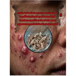 สบู่ล้างหน้าสูตรโบราณ 7 ชนิด น้ํามันมะพร้าวและบาล์ม/สบู่ล้างหน้าความงาม/สบู่ธรรมชาติล้างหน้า【สูตรความงามโบราณ 1000 ปี ช่วยให้ชุ่มชื้น】 น้ํามันมะพร้าวออร์แกนิก/บาล์มธรรมชาติจากพืช/ไม่มีสารเคมีอันตราย | ผิวหมองคล้ําไม่กระจ่างใส/ส