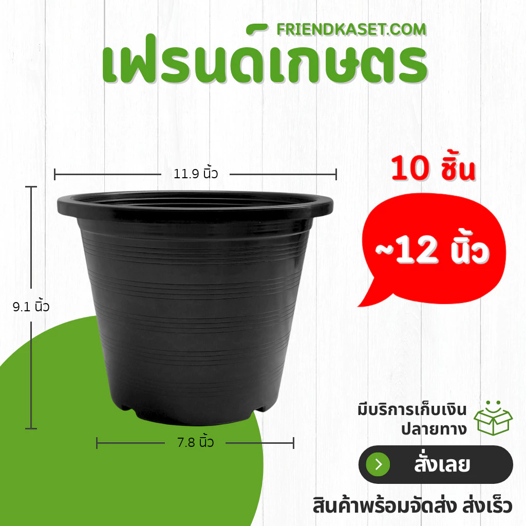 กระถาง กระถางต้นไม้ กระถางพลาสติก เบอร์ 12 นิ้ว สีดำ 10 ใบ ยกมัด