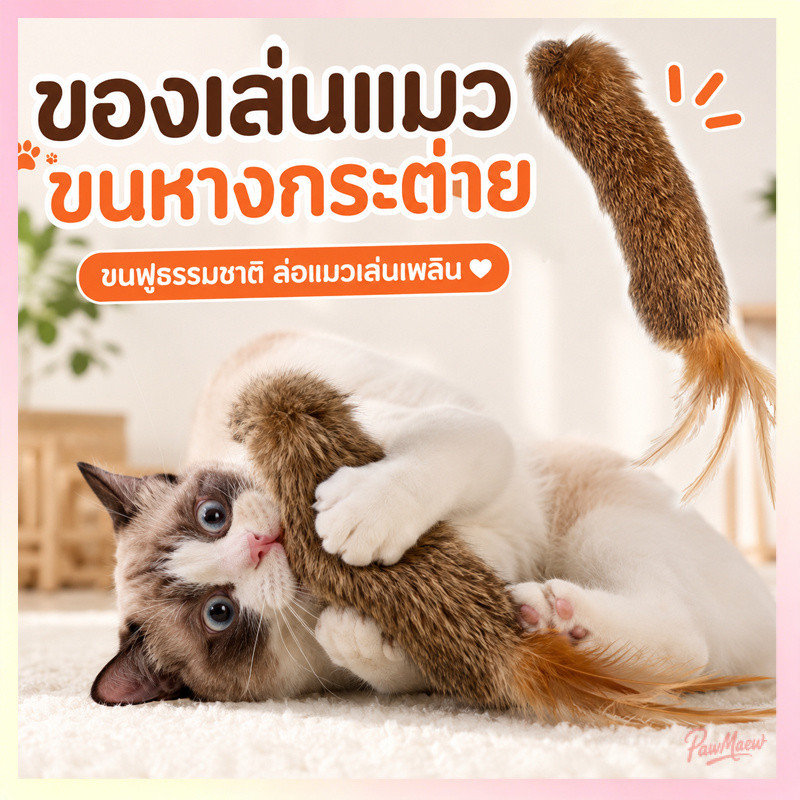 พร้อมส่ง ไม้ตกแมว ขนกระต่ายแท้ ขนนก ของเล่นแมว แขวนผนังได้ แมวเล่นเองได้ แก้เบื่อ กระตุ้นสัญชาตญาณล่า