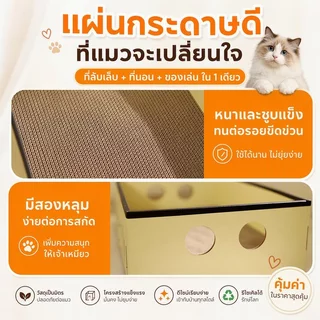 COD😻กล่องลับเล็บแมว 3in1 โดปามีน ดูดี ที่ลับเล็บแมว ที่นอนแมว ทนต่อการสึกหรอ ของใช้แมว