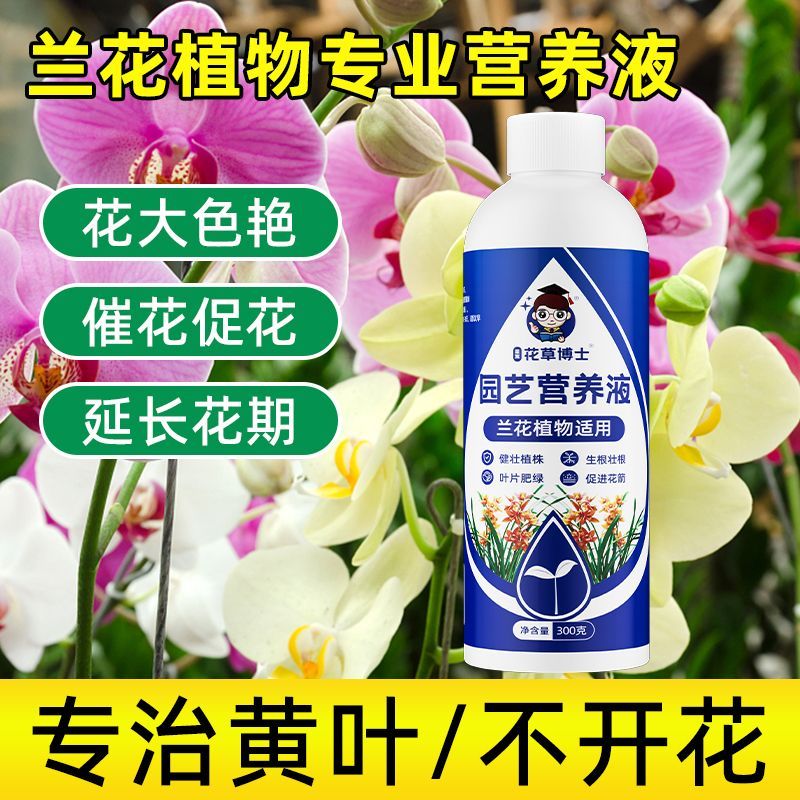 Orchid Special Nutrition Liquid ในร่ม Phalaenopsis Melanchod Orchid Gentleman ปุ๋ยอินทรีย์ Orchid Pl
