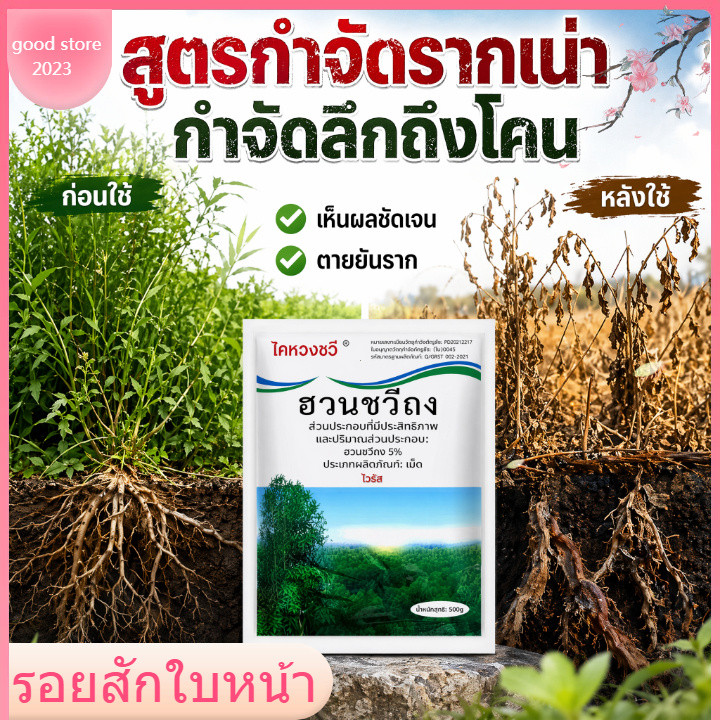 ⚡รากเน่ารากไม่ขึ้นอีก⚡ยาฆ่าต้นไม้ถึงราก 500g กำจัดกอไผ่ วัชพืช เน่าถึงราก ผลติดทนนาน