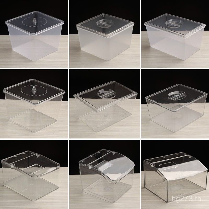 กล่องอาหาร City Leisure กล่องพลาสติกจํานวนมากขนมพร้อมฝาปิดกล่องเก็บอาหารกล่องแสดงพลาสติกสี่เหลี่ยม S