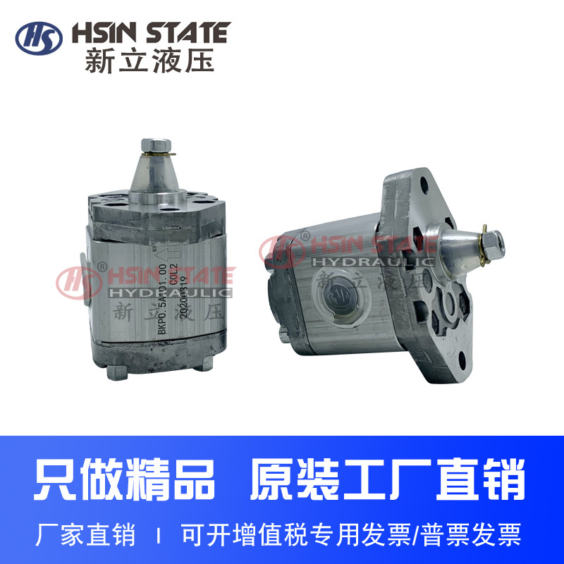 ปั๊มเกียร์ BKP0.5 A1D1.00 C0L2/D0.19/D0.26/D0.38/D0.50/D0.65 C0L2