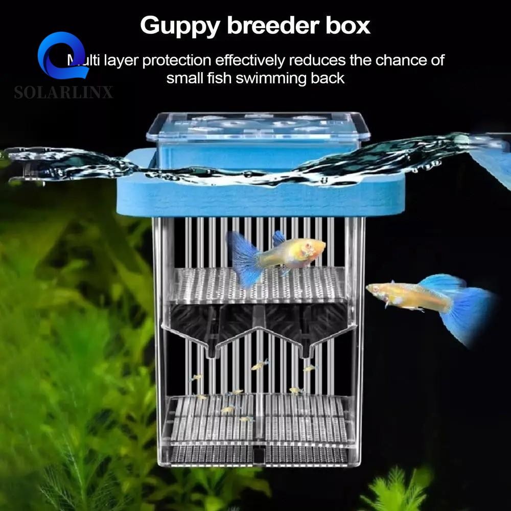 SOLARLINX Guppy Breeder Box, Permeable ที่ถอดออกได้ลอย Hatching Box, Incubator Tank โปร่งใสป้องกัน E