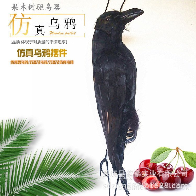 Crow Crow Crow Crow Feather Crow Death Hang Cross-Border จี้เหยื่อจําลองตกแต่งฮาโลวีน MY8U