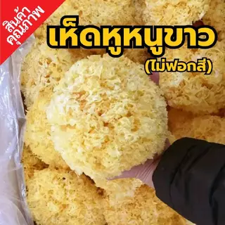 เห็ดหูหนูขาว SS superSpice