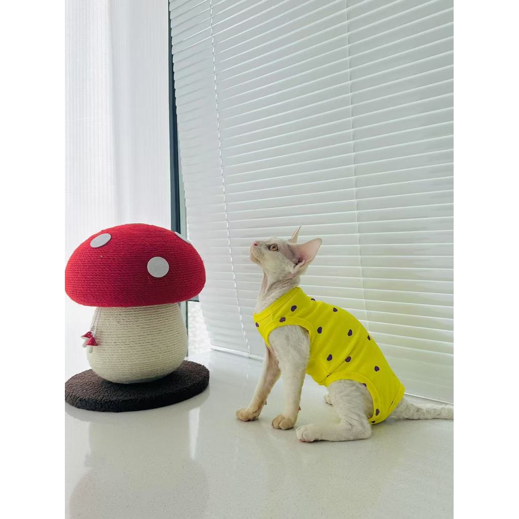 แมวฤดูร้อนสี่ขาเสื้อผ้าผ้าไหมน้ําแข็งด้ายผ้าสบายยืดหยุ่นสูงผมฟรีแมว Devon Cat Abyssian Wearwzh04.my2