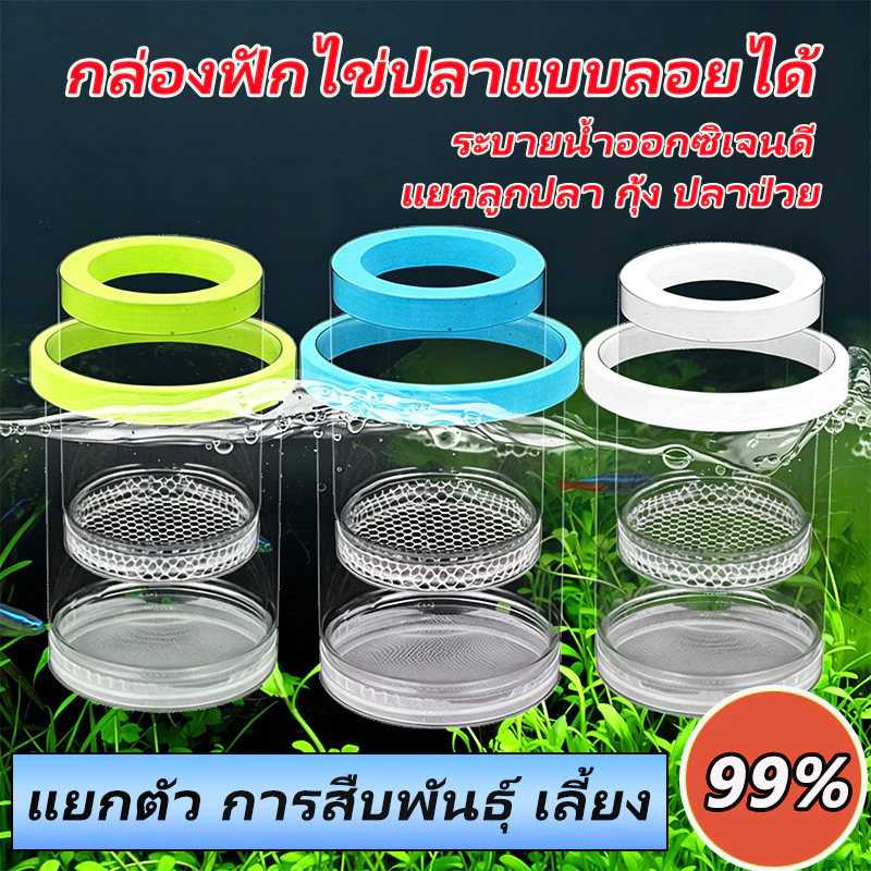 กล่องฟักไข่ปลาที่ลอยได้ กล่องฟักลอย กล่องแยกปลาคลอดลูก 2ช่องแยกลูกกุ้ง และแยกปลาที่กำลังป่วย สองขนาด