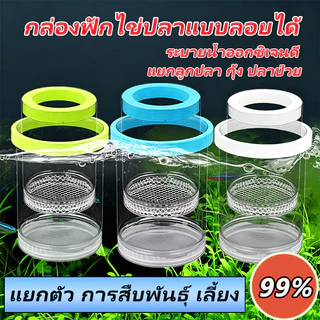 กล่องฟักไข่ปลาที่ลอยได้ กล่องฟักลอย กล่องแยกปลาคลอดลูก 2ช่องแยกลูกกุ้ง และแยกปลาที่กำลังป่วย สองขนาด