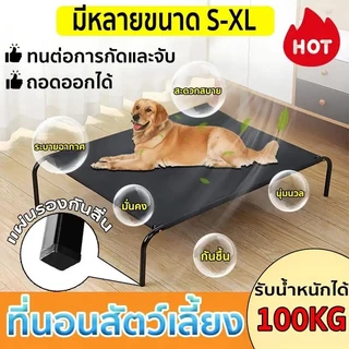 เตียงสัตว์เลี้ยงทนต่อการข่วน โครงเหล็กหนาแน่น ไม่บิดงอ รองรับน้ำหนักสูง ยกขาป้องกันเชื้อรา มีหลายสีเลือกได้ วางทุกมุมในบ