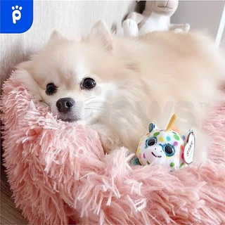 My Paws ที่นอนสัตว์เลี้ยง Comfy ที่นอนสุนัข ที่นอนแมว ขนฟูนุ่มมาก ฟินสบายไร้ขีดจำกัด