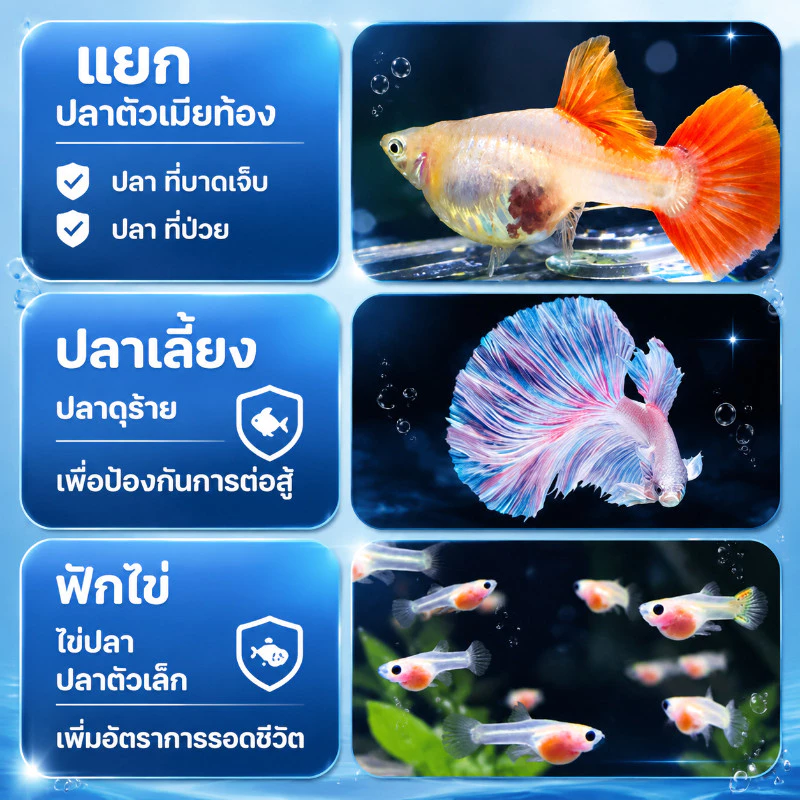 PawTica กล่องแยกปลา แบบลอยน้ำ thumbnail 8