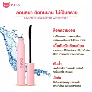 PALA ชุดแต่งหน้า [2 ชิ้น] มาสคาร่า กันน้ำ SCULPTING LONG-LASTING WATERPROOF ปัดขนตางอน ติดทนนาน 14hr 5g. แบรนด์ไทย