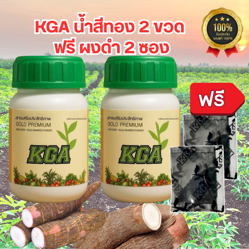 KGAสูตรน้ำ น้ำสีทอง เพิ่มผลผลิตx2 KGA น้ำสีทอง KGA​สูตรใหม่​ สูตรน้ำสีทอง