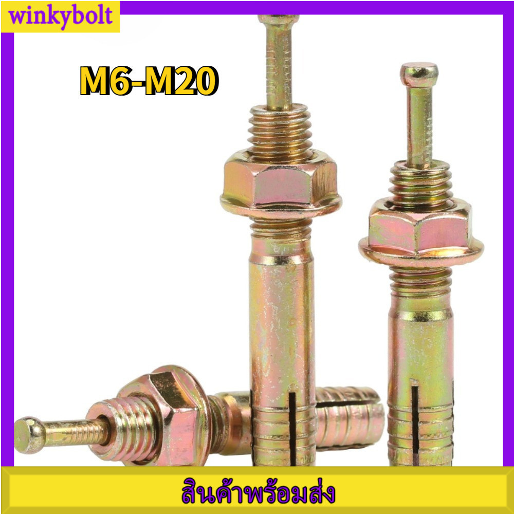 พุกสแตนเลส หัวเหลี่ยม สแตนเลส/พุกสแตนเลส เคลือบสังกะสีสี/nuts & washers expansion screw bolts Color Zinc Plated M6-M20 【BoltGo】