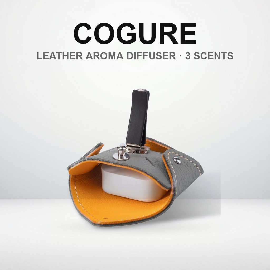 COGURE Car Aroma Therapy: Premium Leather Car Aroma Diffuser with Three Scented Aroma Stones and Box