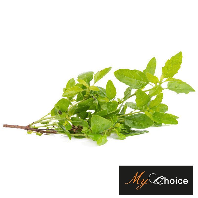 มายช้อยส์กระเพรา My Choice Holy Basil