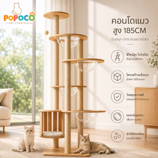 【POPOCO】คอนโดแมวไม้ยางพารา 185CM คอนโดแมวทรงสูง ต้นไม้แมว บ้านแมว หลุมอวกาศอะคริลิกใส เสาลับเล็บแมว ที่นอนแมว สำหรับแมวห