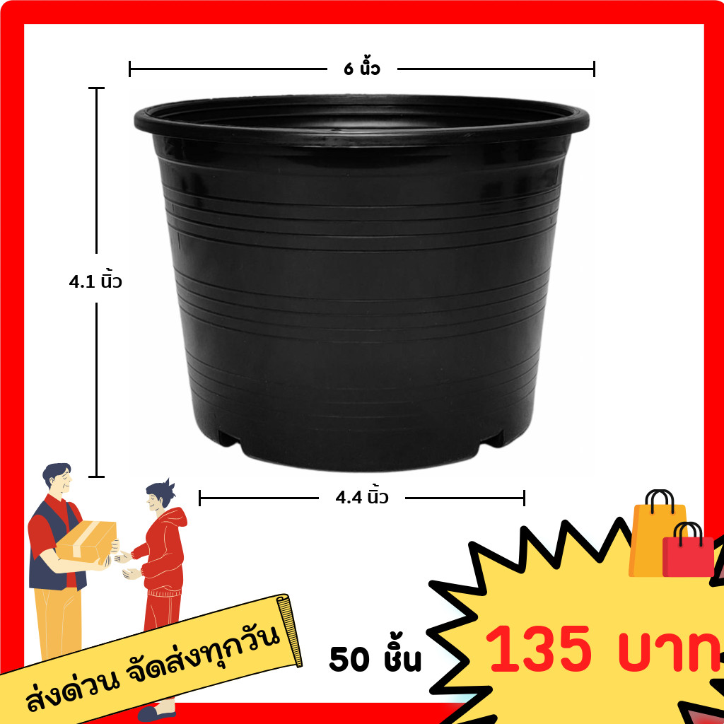 (50ใบ) กระถางดำ 6 นิ้ว พลาสติก