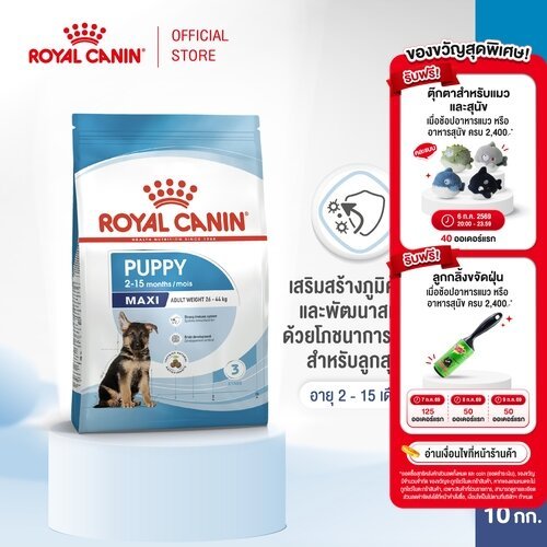 Royal Canin Maxi Puppy 10kg อาหารเม็ดลูกสุนัข พันธุ์ใหญ่ อายุ 2-15 เดือน (Dry Dog Food, โรยัล คานิน)