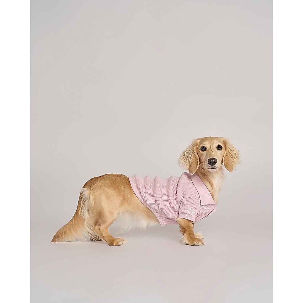 Midnight Layer - Classic Polo Collection - LIGHT PINK