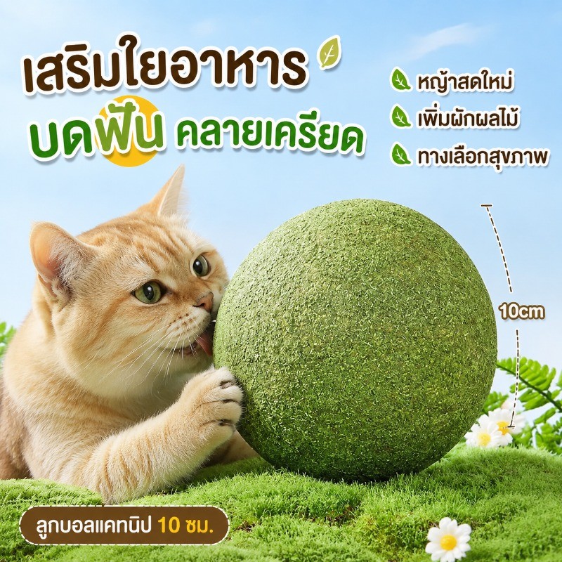 กัญชาแมว แคทนิปบอล 10CM catnip ball ขนมแมวเลีย สมุนไพรแมวเลีย ของเล่นแมว ช่วยคลายเครียด