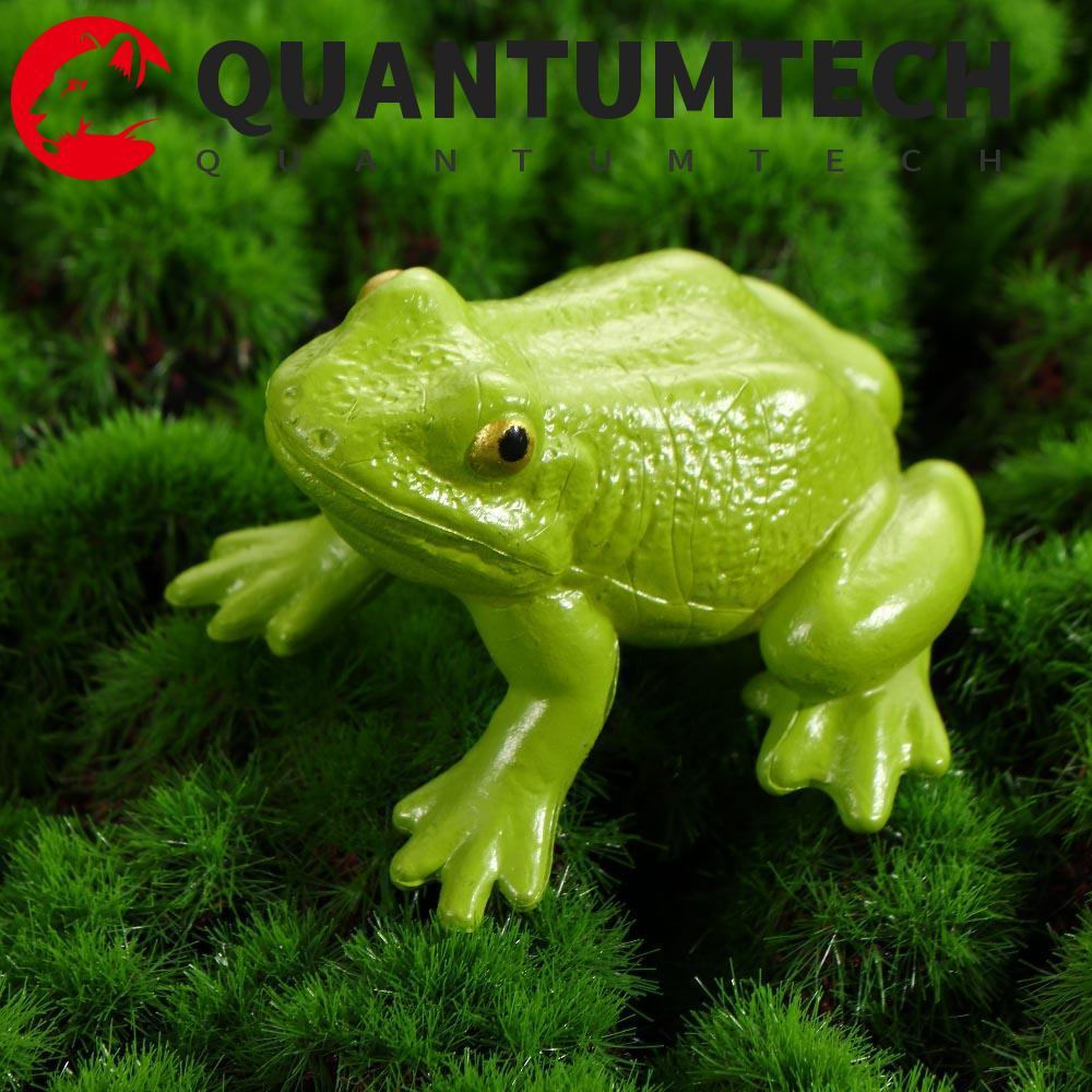 QUANTUMTECH Growth CYCLE รุ่นสําหรับเด็กวิทยาศาสตร์ของเล่นผีเสื้อ Growth CYCLE การสอนวัสดุพลาสติกรุ่