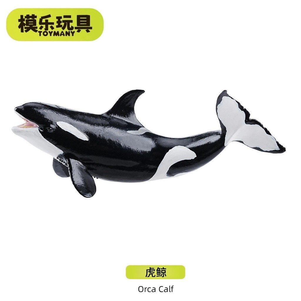 ของเล่นตุ่น TOYMANY Mini Killer Whale Sea Life Series จําลองสัตว์รุ่น Killer Whale