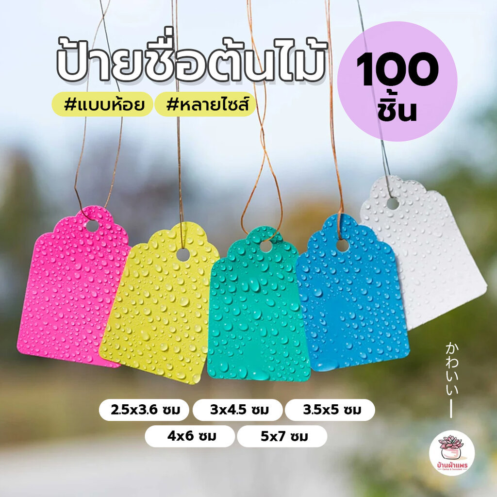 [ 100 ชิ้น ] ป้ายชื่อต้นไม้แบบห้อย ป้ายชื่อพลาสติก มีหลายขนาด