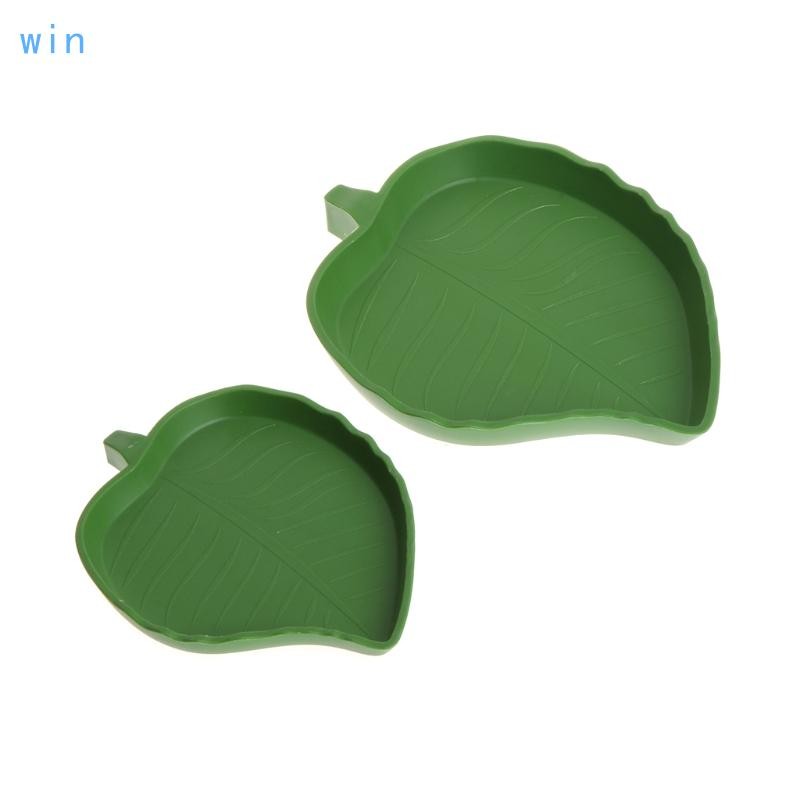 Win สัตว์เลื้อยคลานจานให้อาหารชามน้ําสําหรับสัตว์เลื้อยคลาน Amphibians Terrarium Habitats