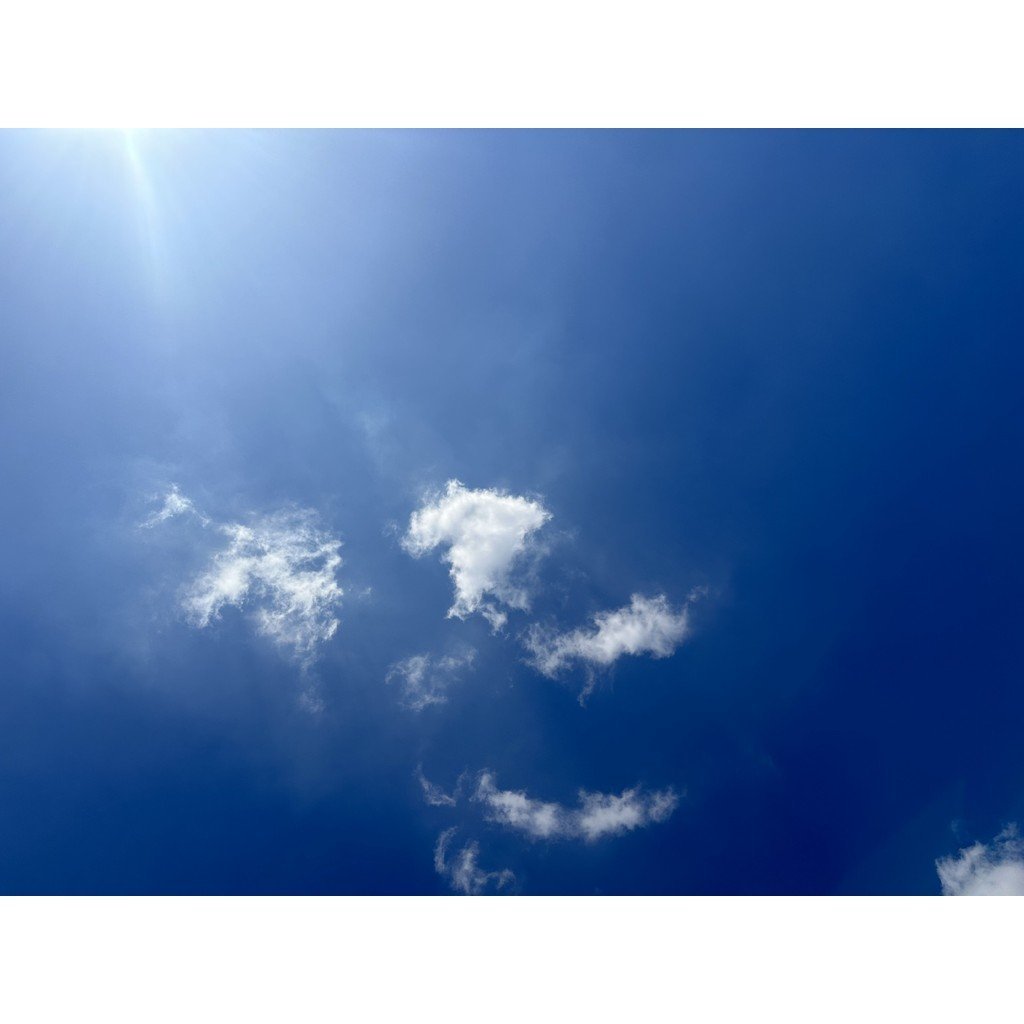 โมดูล Double-Layer Optical Fiber Holder 2X2Cage Crimping SFP Light Guide คอลัมน์ไม่มี Shielding ฝาคร