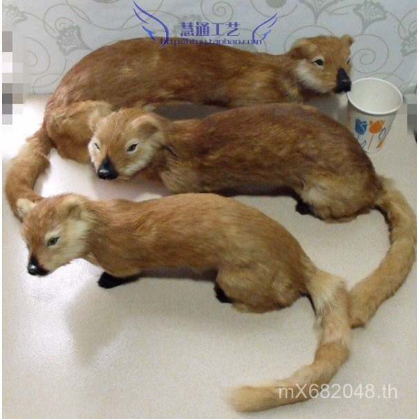 หมาป่าป่างานฝีมืออุปกรณ์ประกอบฉากสัตว์ Weasel หมาป่าจําลองอุปกรณ์ฟิล์มโทรทัศน์จําลองการสอน Weasel 5O