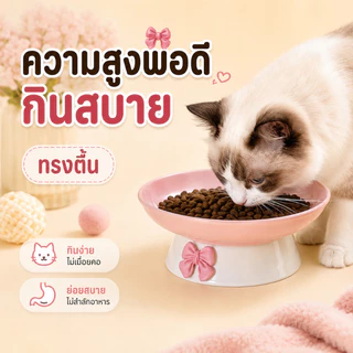 ชามอาหารแมวเซรามิก ยกสูง กันลื่น ถนอมคอแมว ลายโบว์น่ารัก ใส่น้ำได้ ล้างง่าย ชามอาหารหมา