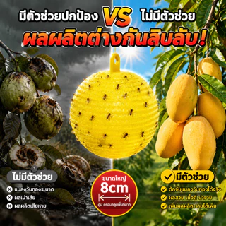 🔥รุ่นอัพเกรด 🔥ได้ผล3ปี🦟ลูกบอลดักแมลง กวาทรงพลัง กันน้ำกันแดด กาวดักแมลงหวี่ ที่ดักแมลงวันทอง กาวดักแมลงวัน ไม่ละลายกาว