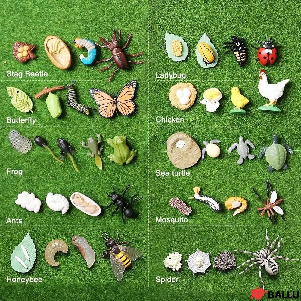 BALLU 4 ชิ้น/เซ็ต Life CYCLE ตุ๊กตา, Miniature ขนาดการศึกษา Miniature สัตว์ Growth CYCLE, Cognitive 