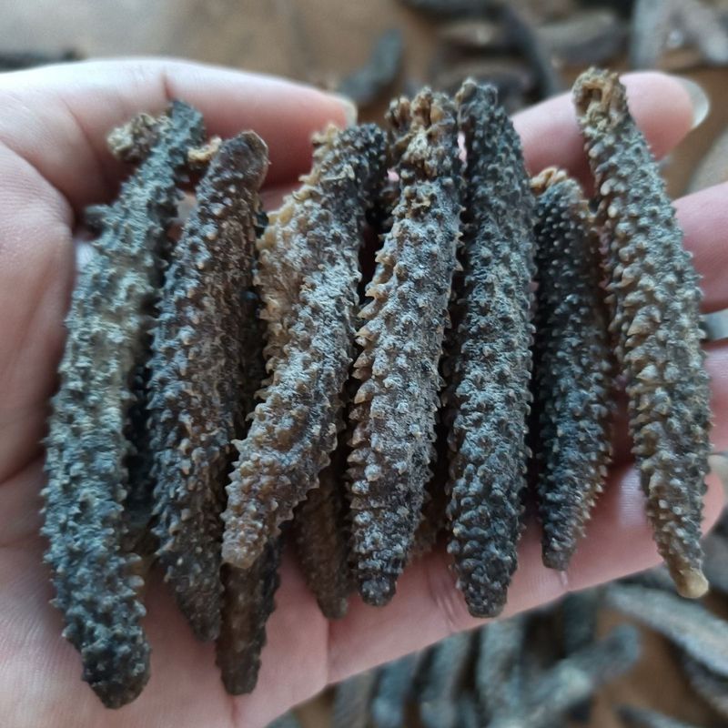 【黑刺参】野生淡干刺参新鲜非辽刺淡干海参干货即食260708 【Black Sea Cucumber】Wild Dried Sea Cucumber, Fresh Non-Liao Cucumber,