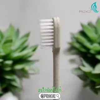 PRAKAIVANICH กล่องเก็บแปรงสีฟันพกพา ใส่พร้อมแปรงสีฟันใส แปรงสีฟันฟางข้าว ย่อยสลายได้+ยาสีฟัน 5 กรัม